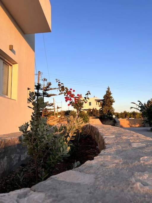 Theasis Apartments Adamantas  Dış mekan fotoğraf